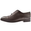 TED BAKER TED BAKER ARNIIE BROGUES SHOES BROWN
