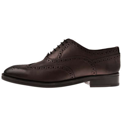 Ted Baker Amaiss Brogues Shoes Brown