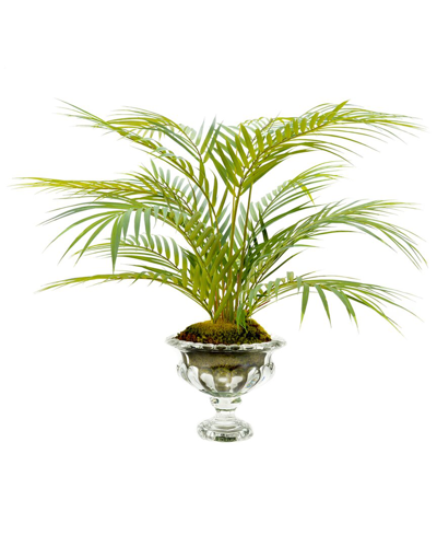 Creative Displays Green Palm Leaves With Moss In A Glass Pedestal Vase