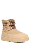 Ugg Classic Mini Waterproof Boot In Mustard Seed