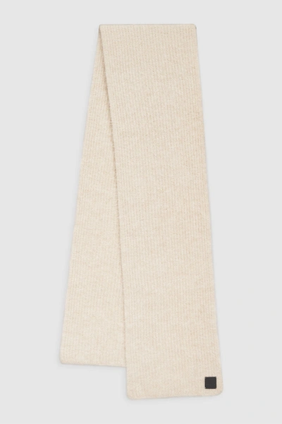 Anine Bing Beige Emmett Scarf In Brown