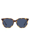Ray Ban 54mm Square Sunglasses In Havana