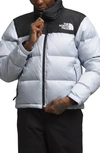 Dusty Periwinkle/Tnf Black