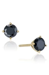 House Of Frosted 14k Gold Plated Black Spinel Stud Earrings In Gold