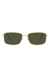 Ray Ban Ray-ban Sunglasses In Gold
