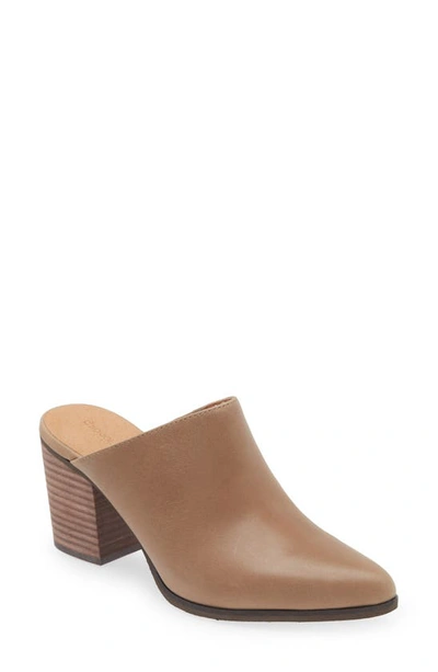Chocolat Blu Emery Pointed Toe Mule In Taupe Leather