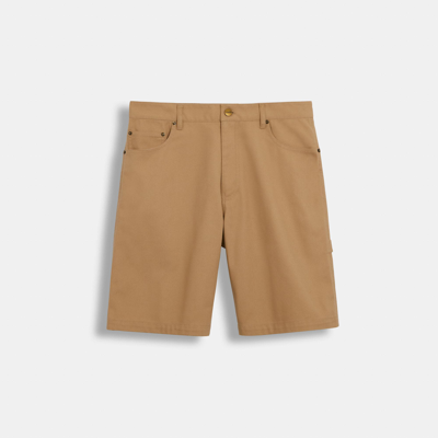 Coach Outlet Twill Shorts In Brown