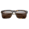 IVI VISION DEANO - BRUSHED GOLD / BRONZE AR LENS IN POLISHED AMBERCOMB TORTOISE