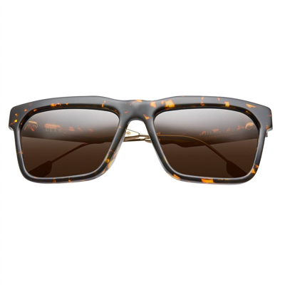 Ivi Vision Deano - Brushed Gold / Bronze Ar Lens In Polished Ambercomb Tortoise In Multi