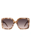 Dezi Harper 24mm Gradient Square Sunglasses In Alluded Nude / Smoke Gradient