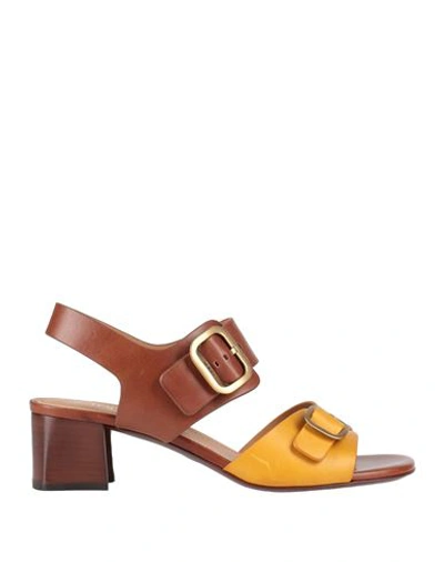 Tod's Buckle-strap Leather Sandals In Yellow