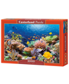 CASTORLAND CORAL REEF FISHES JIGSAW PUZZLE SET, 1000 PIECE