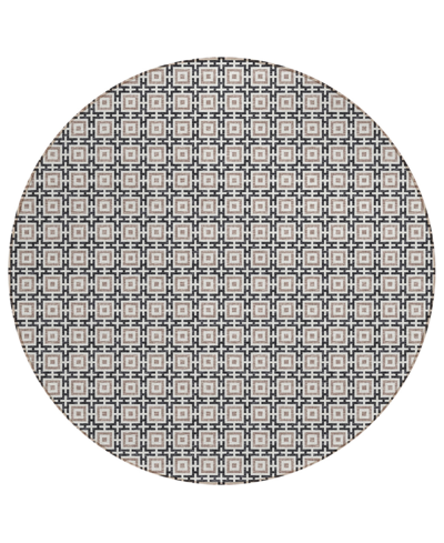 D Style Robbey Washable Rby1 8' X 8' Round Area Rug In Black
