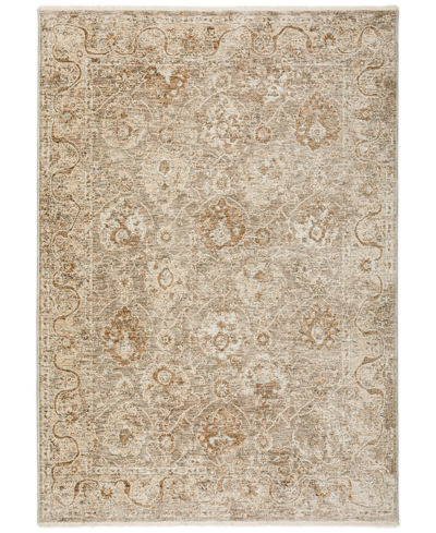 D Style Perga Prg6 3' X 5' Area Rug In Tan,beige
