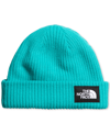 THE NORTH FACE SALTY DOG LINED BEANIE