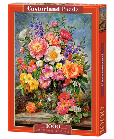 Castorland June Flowers In Radiance Jigsaw Puzzle Set, 1000 Piece In Multicolor