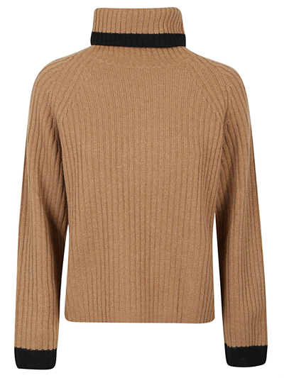 Be You Cashmere Turtleneck Sweater In Brown
