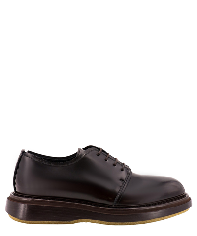 The Antipode Adam 307 Leather Derby Shoes In Brown