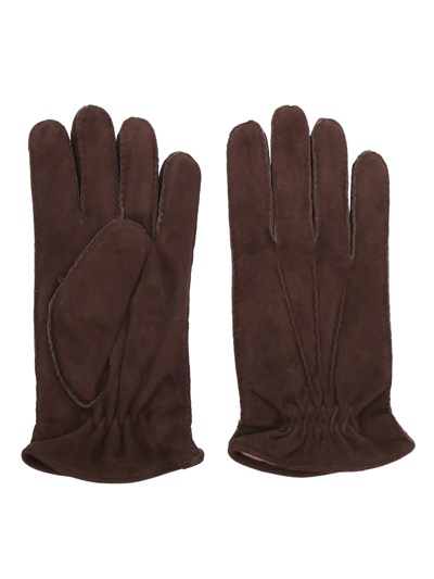 Orciani Suede Gloves In Brown