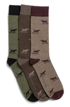 Rodd & Gunn Dogs-a-plenty Assorted 3-pack Cotton Blend Crew Socks In Earth Multi