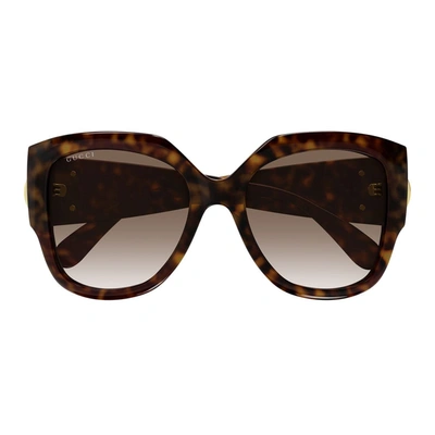 Gucci Gg1407s Havana Sunglasses