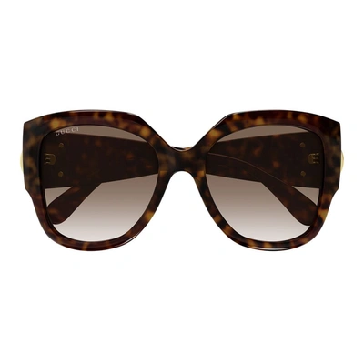 Gucci Gg1407s Havana Sunglasses In Brown