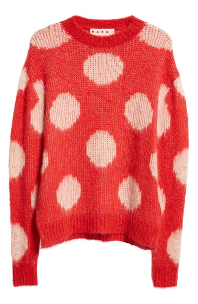 Marni Polka Dot Intarsia Crewneck Sweater In Tulip