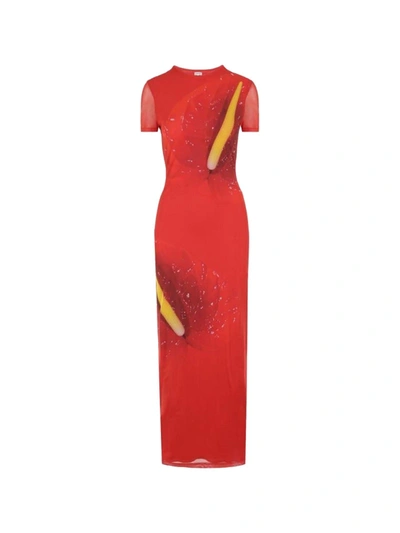 Loewe Anthurium Print Maxi Dress In Red
