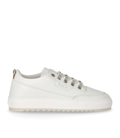 Mason Garments Torino Eterno White Sneaker