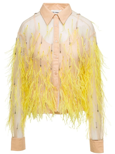 Des Phemmes Tulle Feathers In Beige