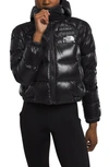 The North Face Hydrenalite Hooded Down Jacket In Tnf Black Shine