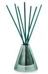 Illume Wondermint Winsome Diffuser In Blue