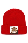 GOORIN BROS JUNGLE JANGLE LION PATCH BEANIE