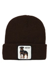 Goorin Bros Ruff Stuff Beanie In Dark Brown