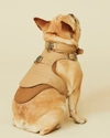 PAGERIE SAND BABBI DOG HARNESS LEATHER