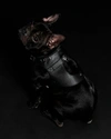 PAGERIE NOIR COLOMBO DOG HARNESS LEATHER
