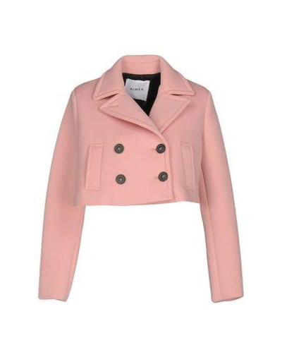 Ainea Suit Jackets In Pink