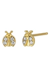 Bony Levy Icon Diamond Bug Stud Earrings In 18k Yellow Gold