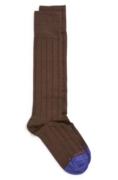 Edward Armah Pima Cotton Blend Rib Dress Socks In Brown