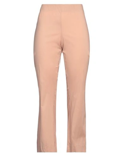 Liviana Conti Woman Pants Blush Size 8 Cotton, Polyamide, Elastane In Pink