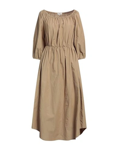 Antonelli Woman Midi Dress Camel Size 6 Cotton In Beige