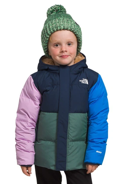 The North Face Kids' North Hooded Water Repellent 600 Fill Power Down Recycled Polyester Jacket In Navy/green/pink/royal
