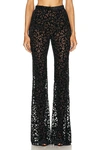 PRISCAVERA FITTED FLARED PANT