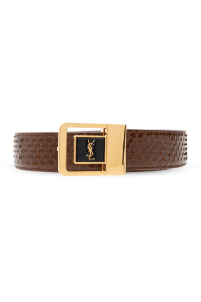 Saint Laurent Female Buckle Belt In Brown