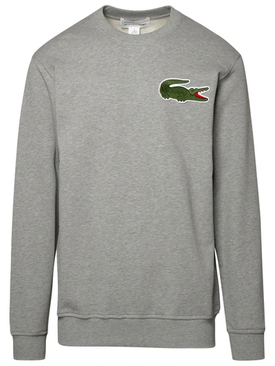 Comme Des Garçons Crocodile Sweatshirt In Grey
