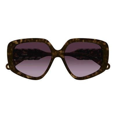 Chloé Sunglasses In Brown