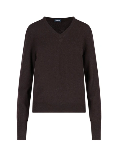 Drumohr V-neck Sweater In Brown