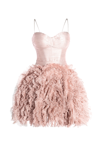 Maria Lucia Hohan Kate Ruffle Silk Fit-&-flare Mini Dress In Pink