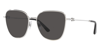 Dolce & Gabbana Dolce And Gabbana Dark Grey Butterfly Ladies Sunglasses Dg2293 05/87 56 In Dark / Grey / Silver