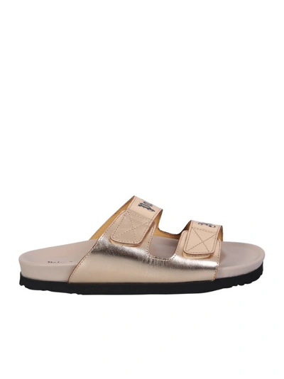 Palm Angels Beige Sandal With Metalized Effect In Gold